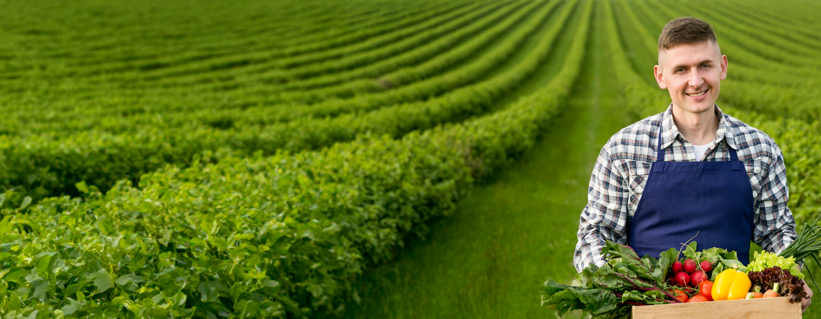 Slider Image Alt Text 2