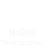 Wildlife Photography Pro